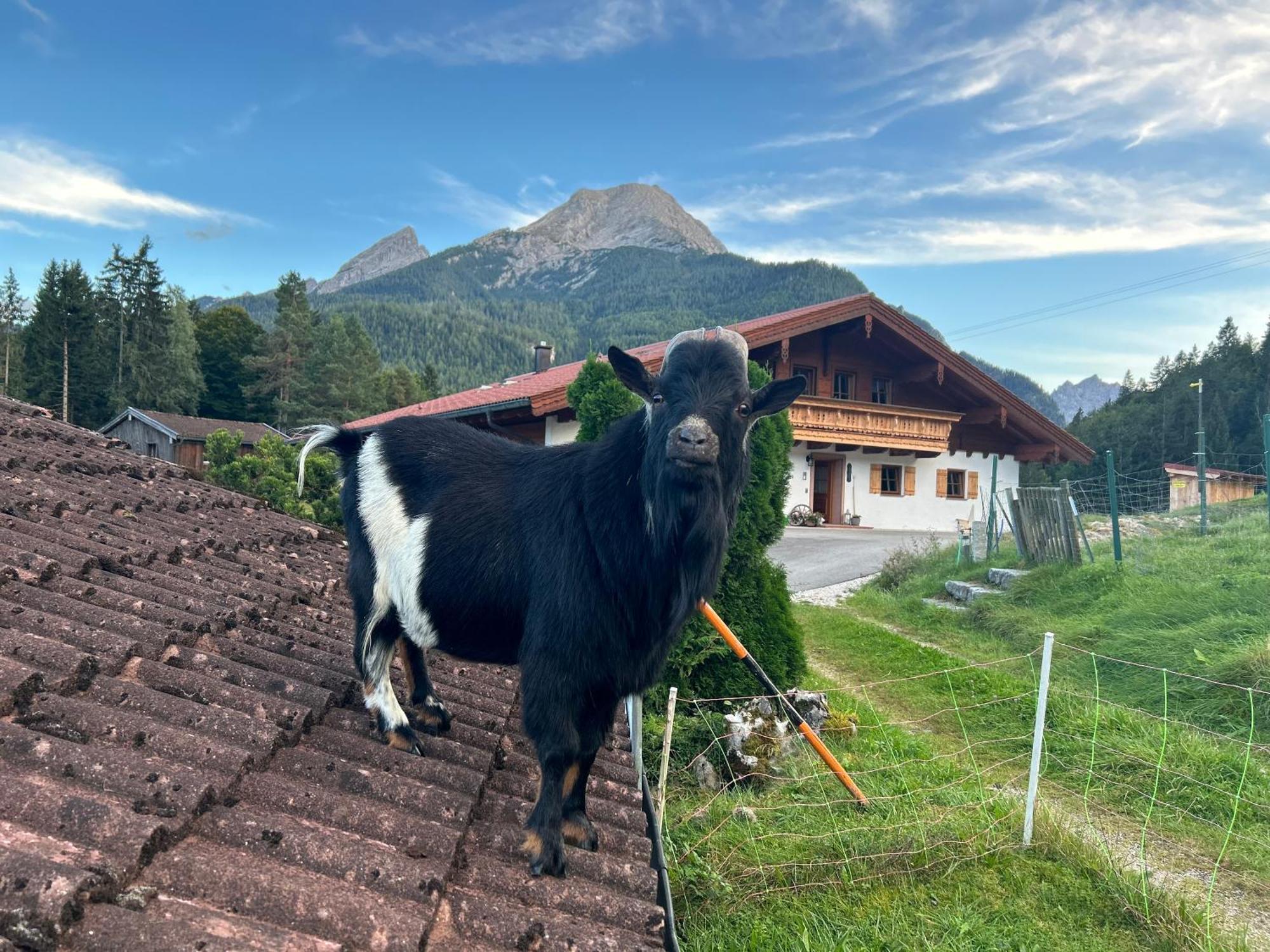 Auf'M Feggenlehen Hotel Ramsau bei Berchtesgaden Luaran gambar