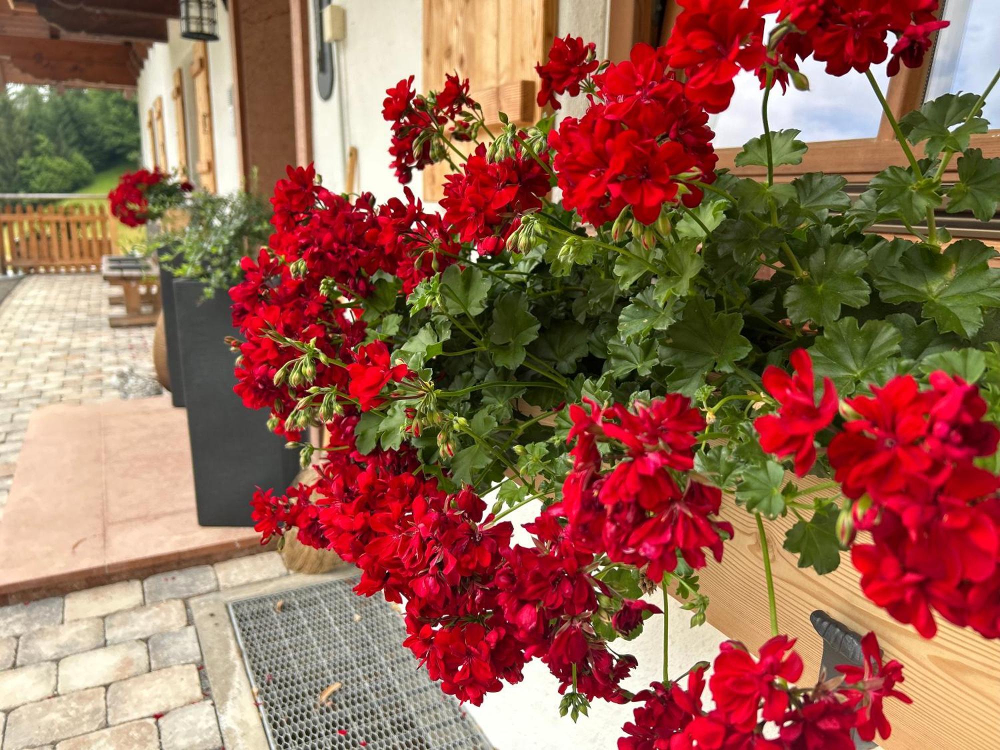 Auf'M Feggenlehen Hotel Ramsau bei Berchtesgaden Luaran gambar